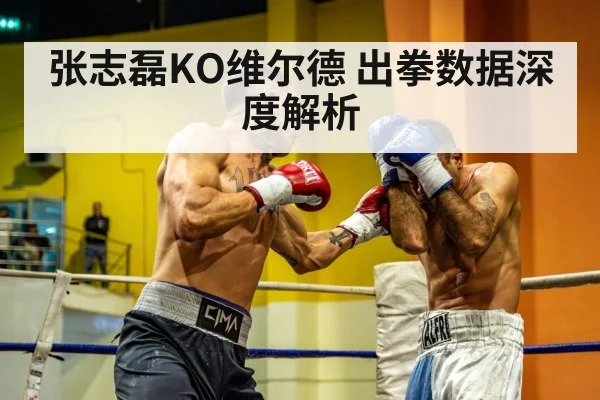 张志磊KO维尔德 出拳数据深度解析